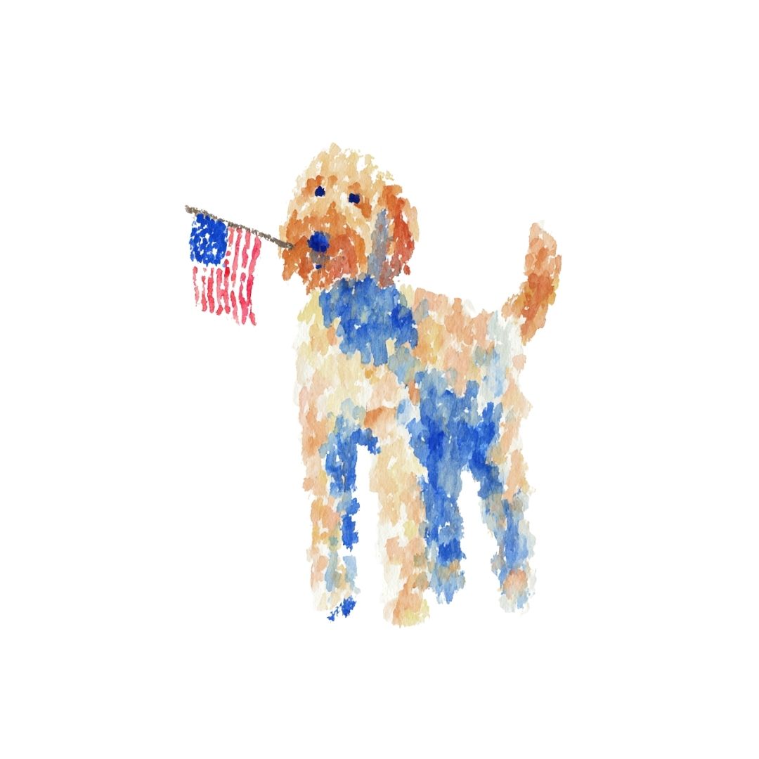 All-American -  Art Print