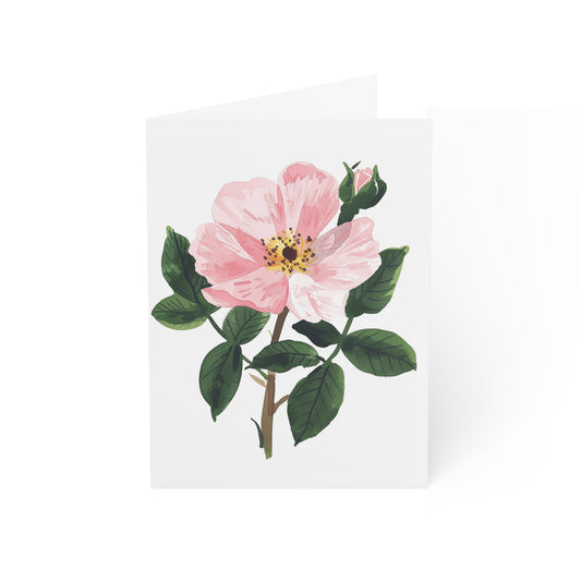 Rosa Canina Greeting Card