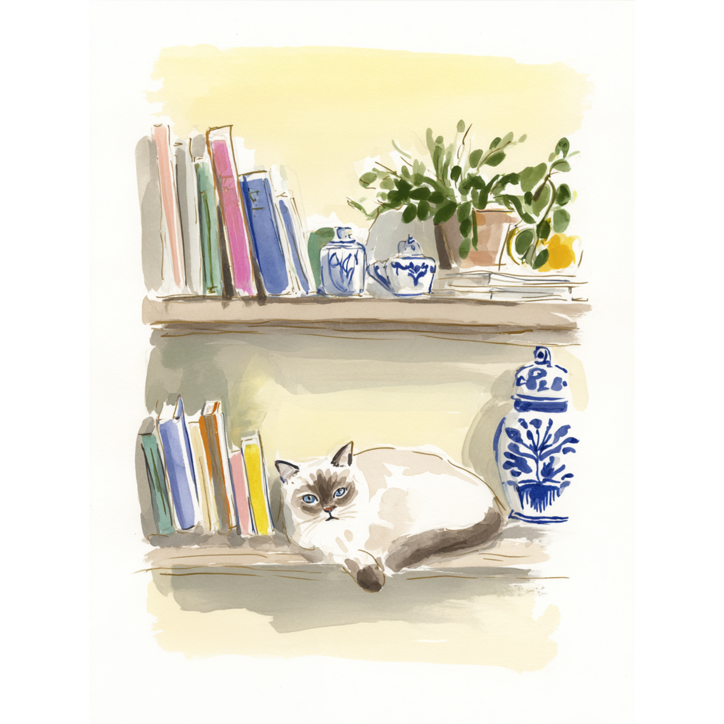 Catnap - Art Print