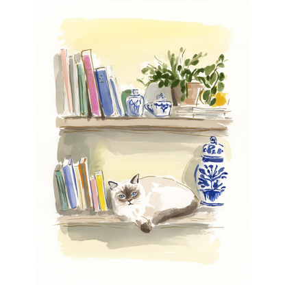 Catnap - Art Print