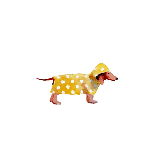 Rrainy Day Dachshund -  Art Print