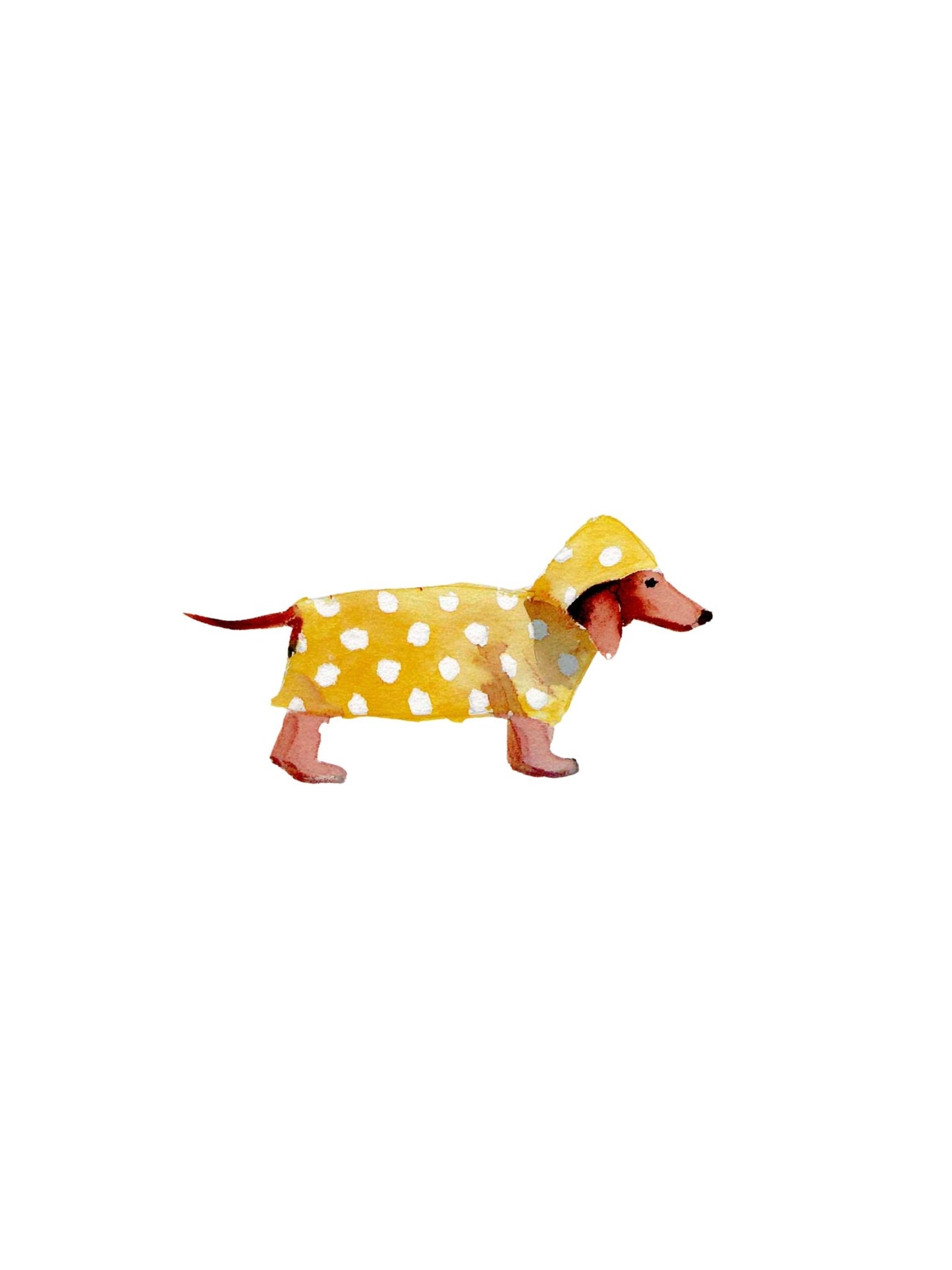 Rrainy Day Dachshund -  Art Print