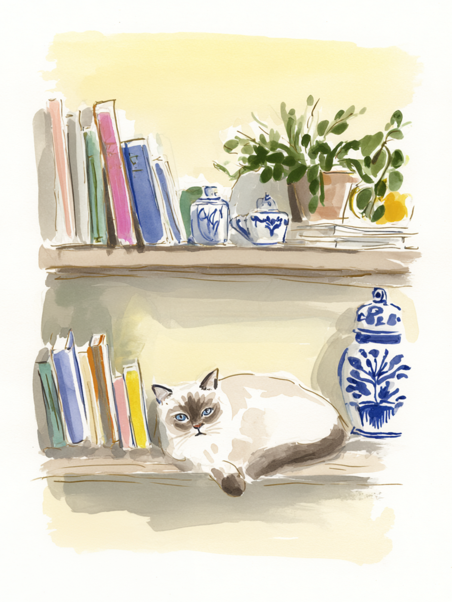 Catnap - Art Print