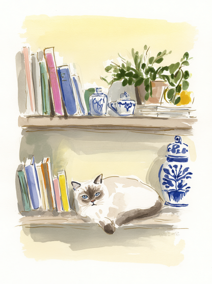 Catnap - Art Print