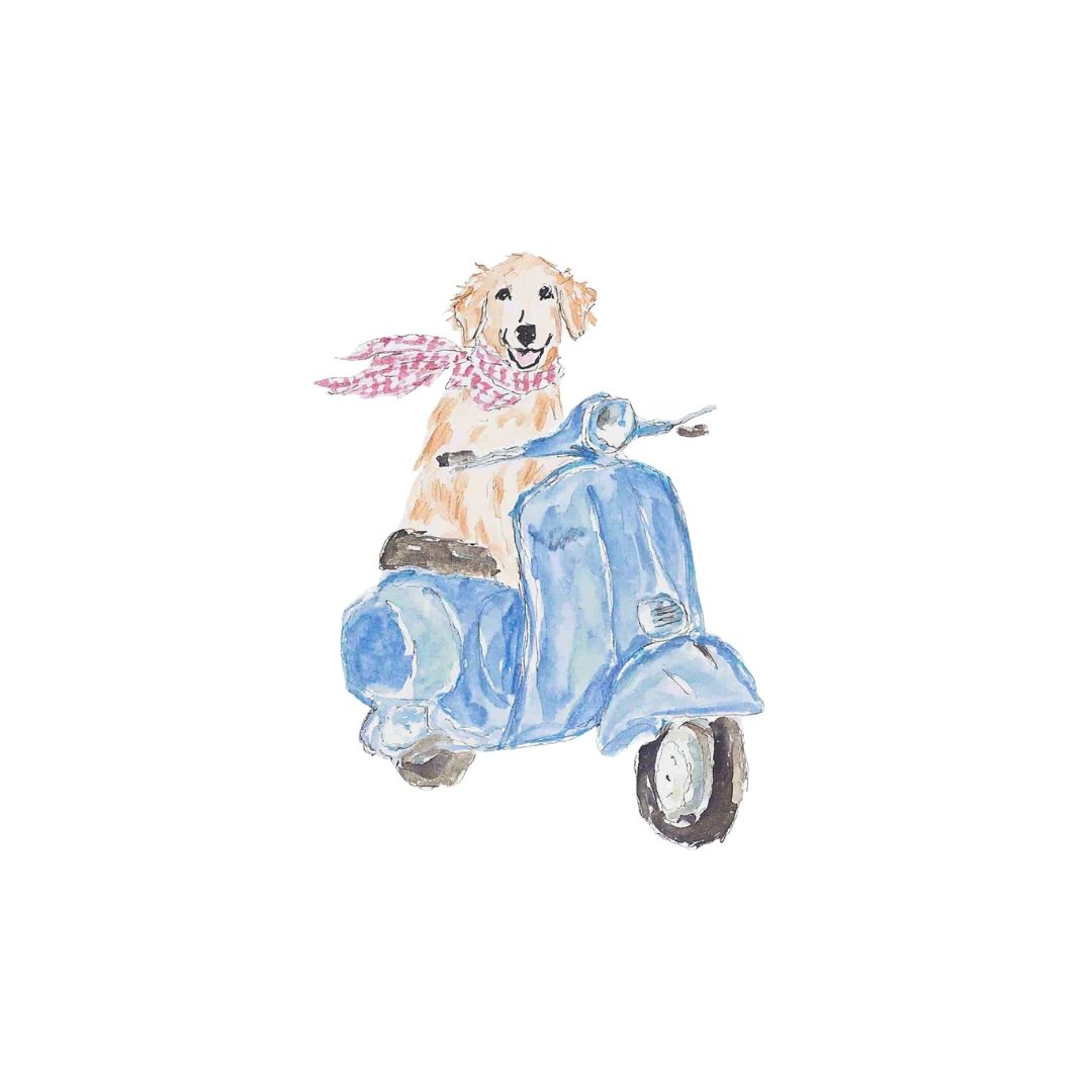Scooter Scout -  Art Print