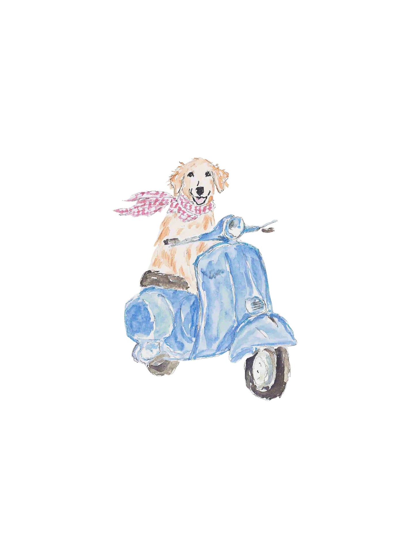 Scooter Scout -  Art Print