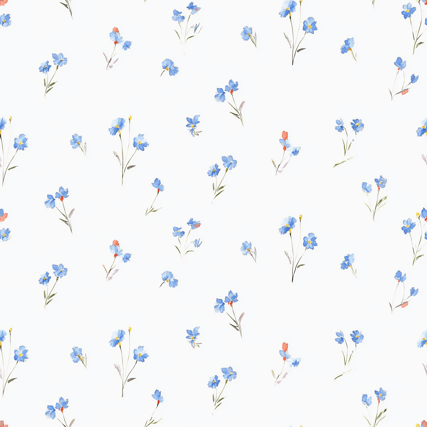Bluebird Wallpaper