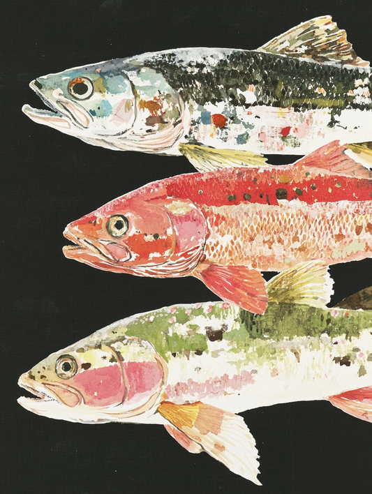 Fish Trio - Art Print