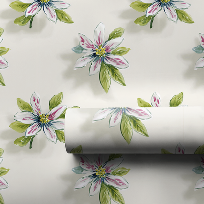 Oak Grove - Wrapping Paper