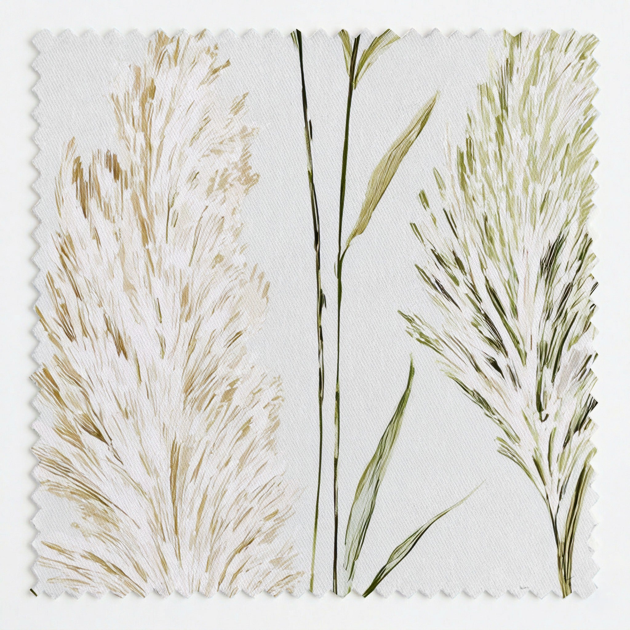Dune Reed Fabric by the Yard