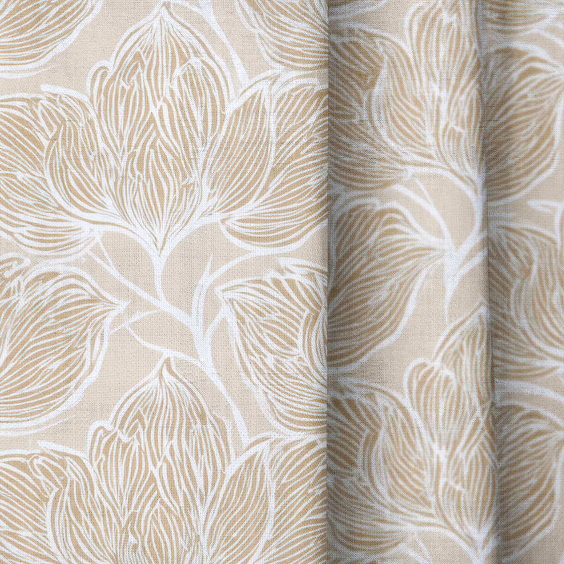 Biscotti - Drapery — close up