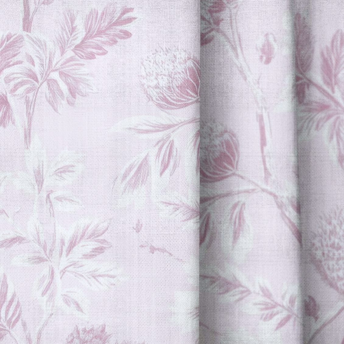 Blush on Blush - Drapery — close up