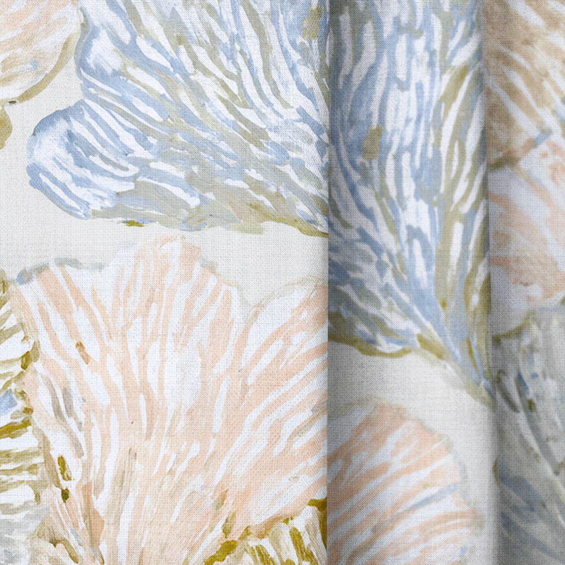 Sea Fan - Drapery — close up