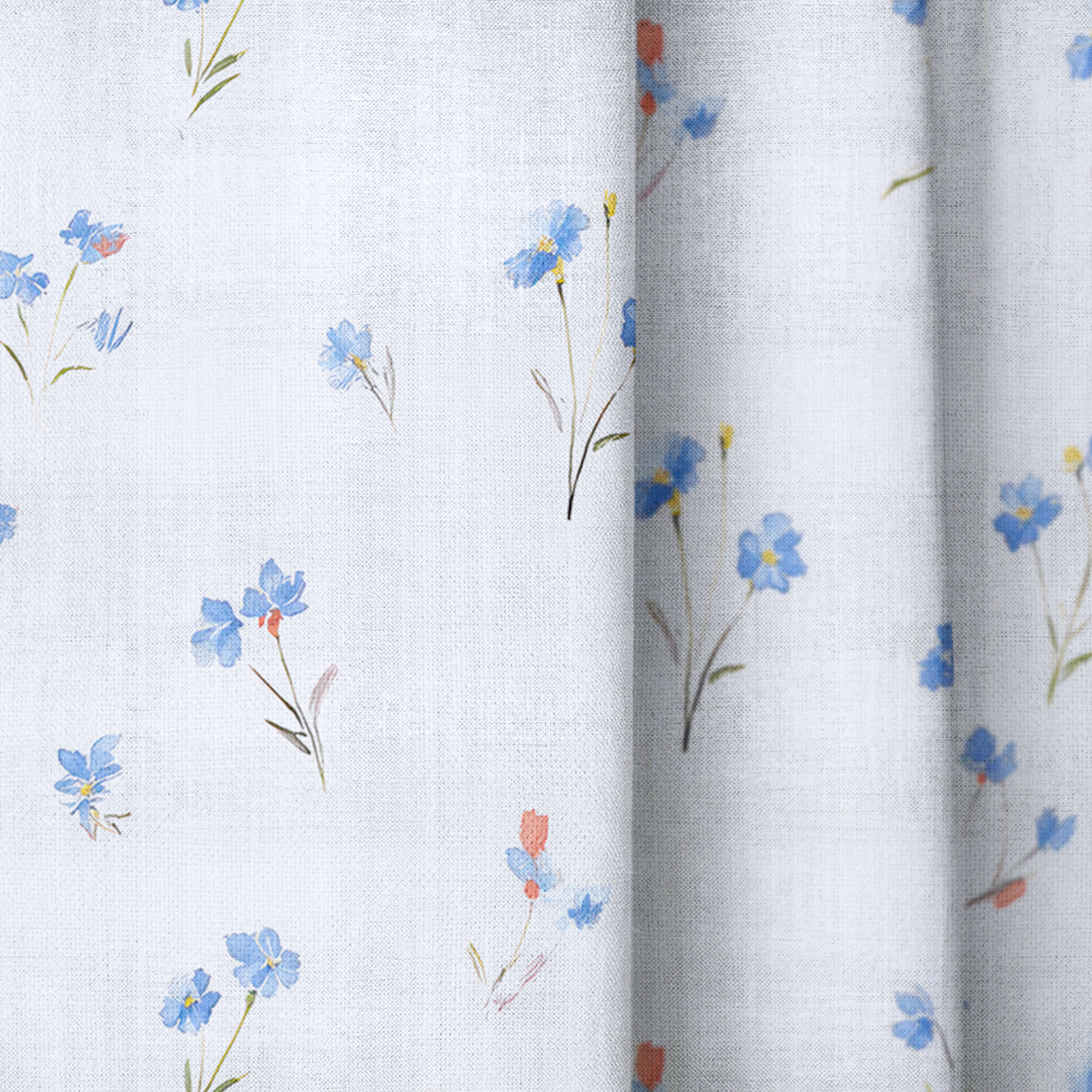 Bluebird - Drapery — close up