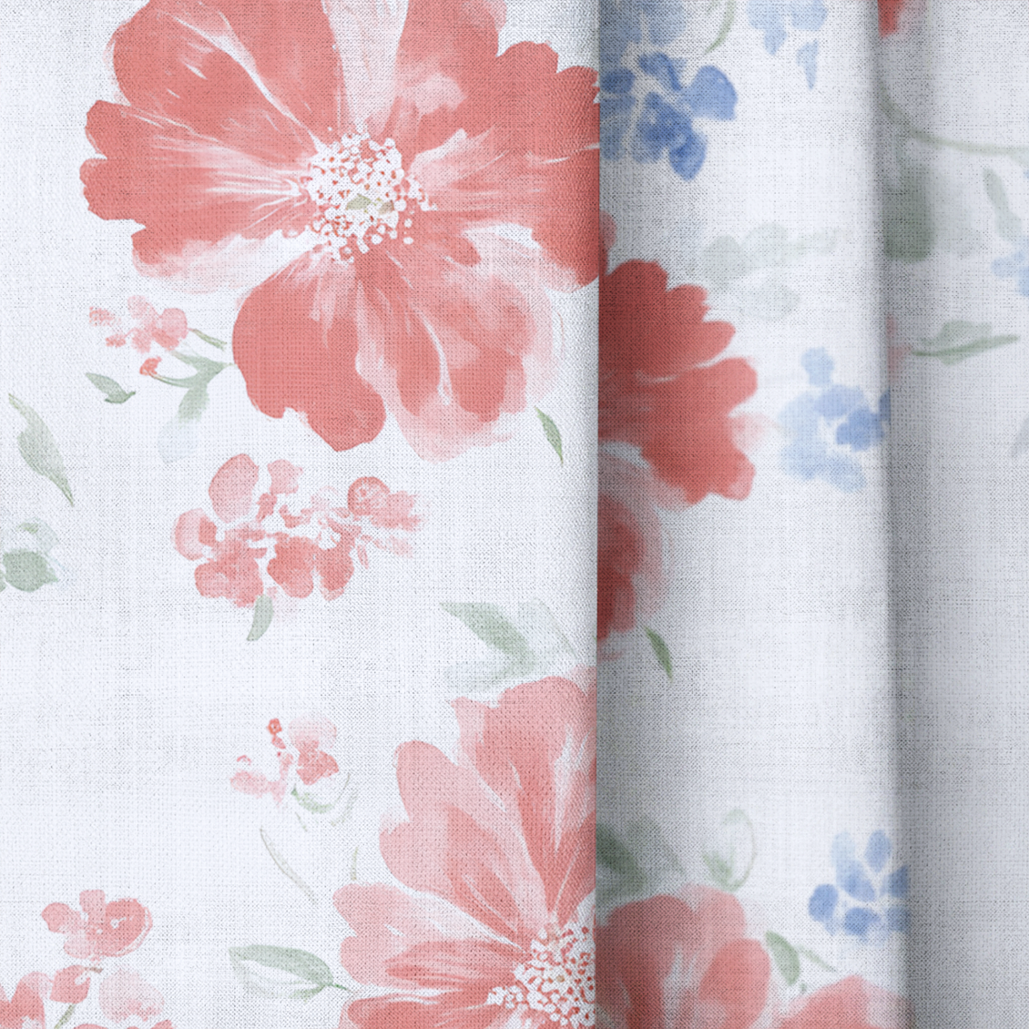 Robin - Drapery — close up