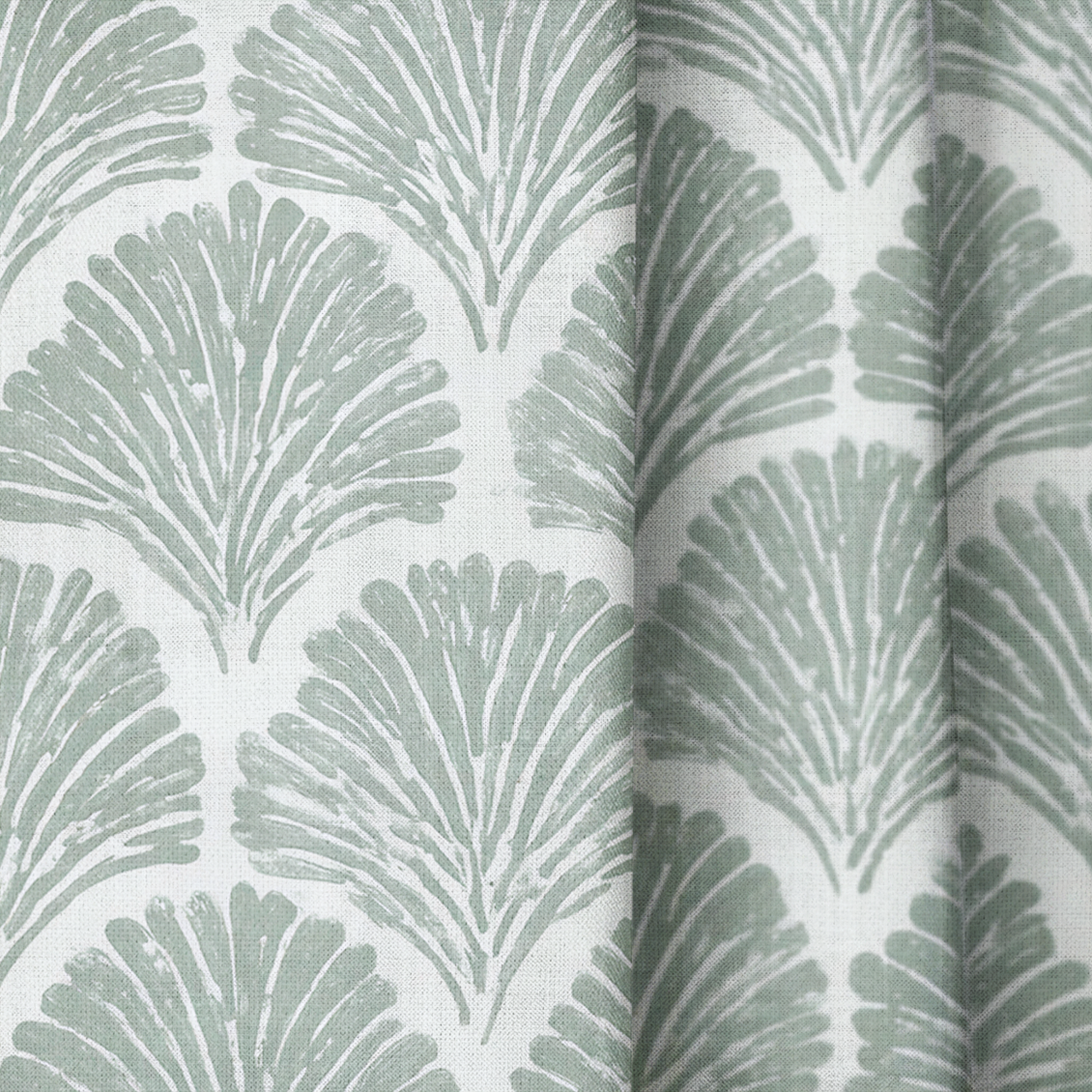 Sage Shell - Drapery — close up