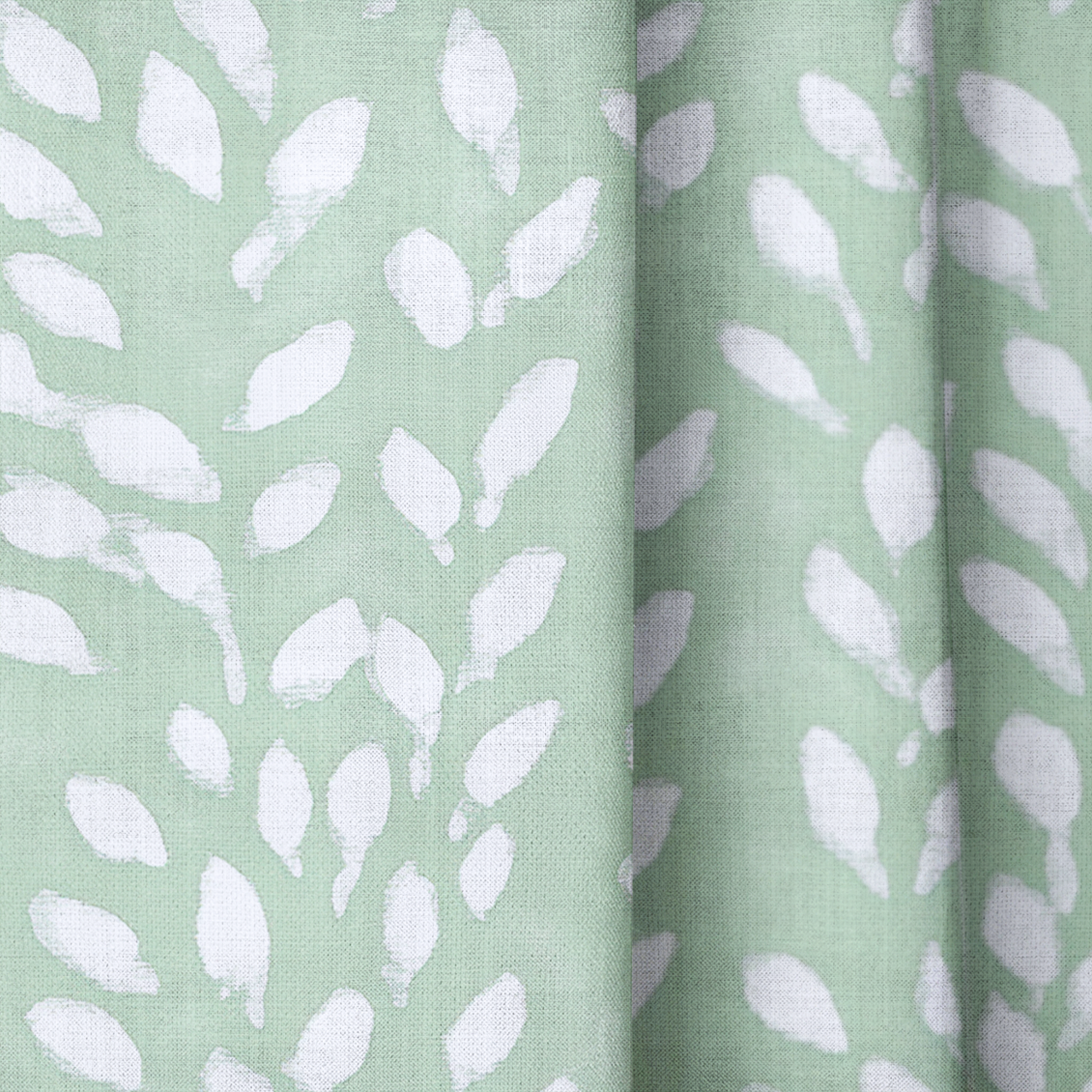 Eucalyptus - Drapery — close up