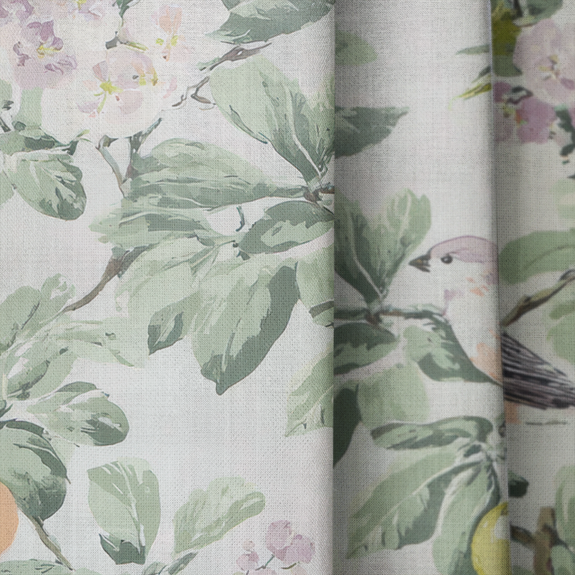 Gentle Songbird - Drapery — close up