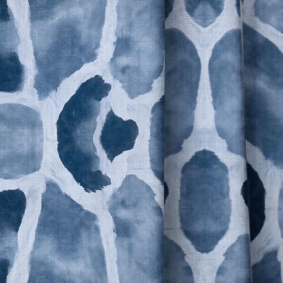 LP880649 close up