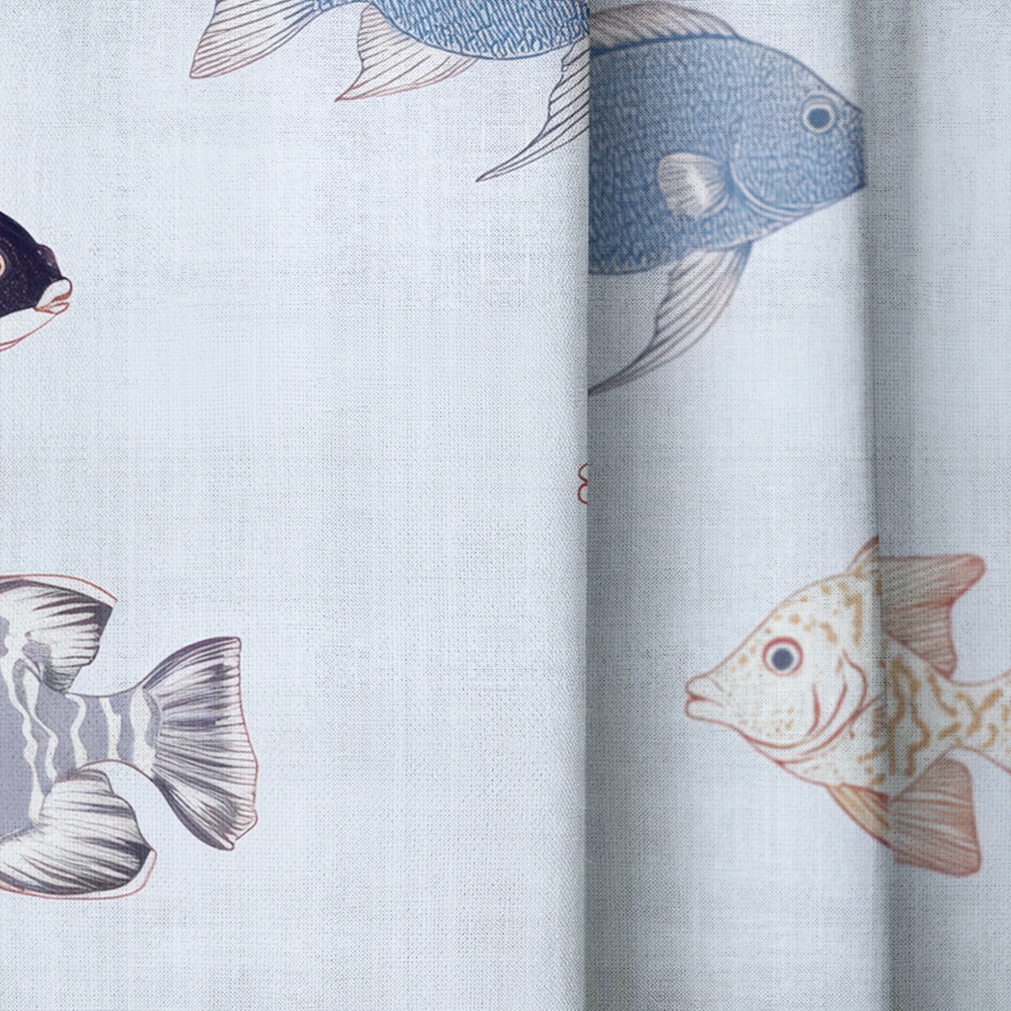 Fancy Fins - Drapery — close up