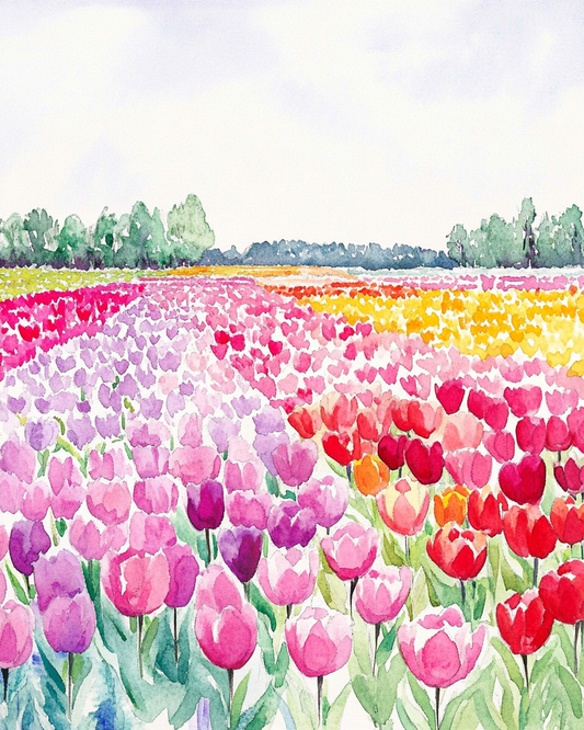 Netherland Tulips - Art Print