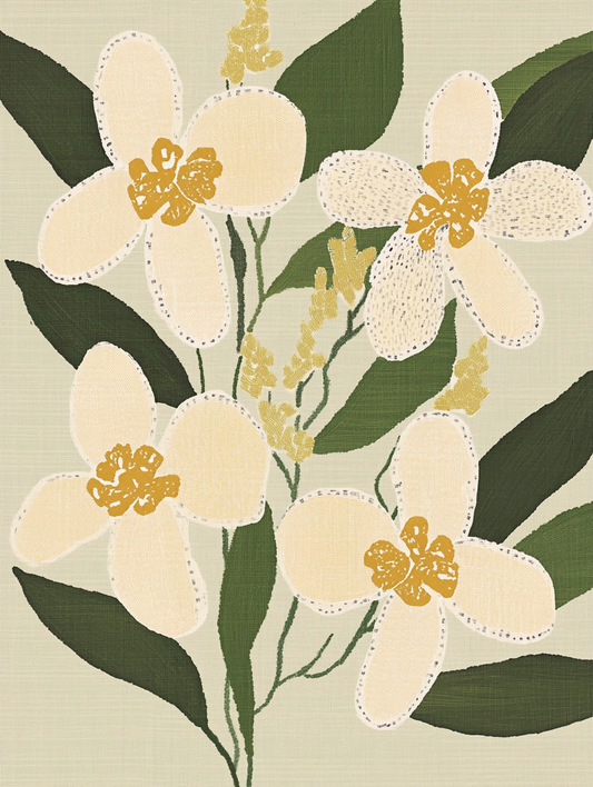 Orchid Bloom - Art Print