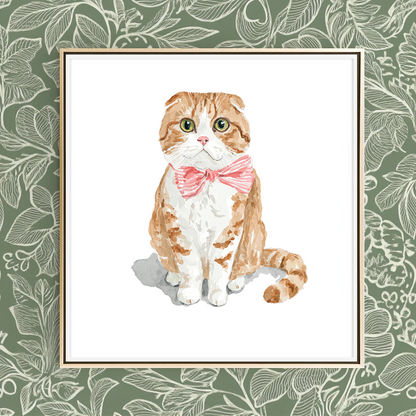 Soft Scottish Fold - Art Print