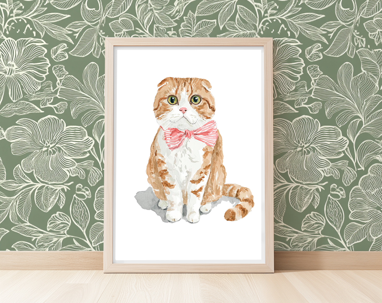 Soft Scottish Fold - Art Print