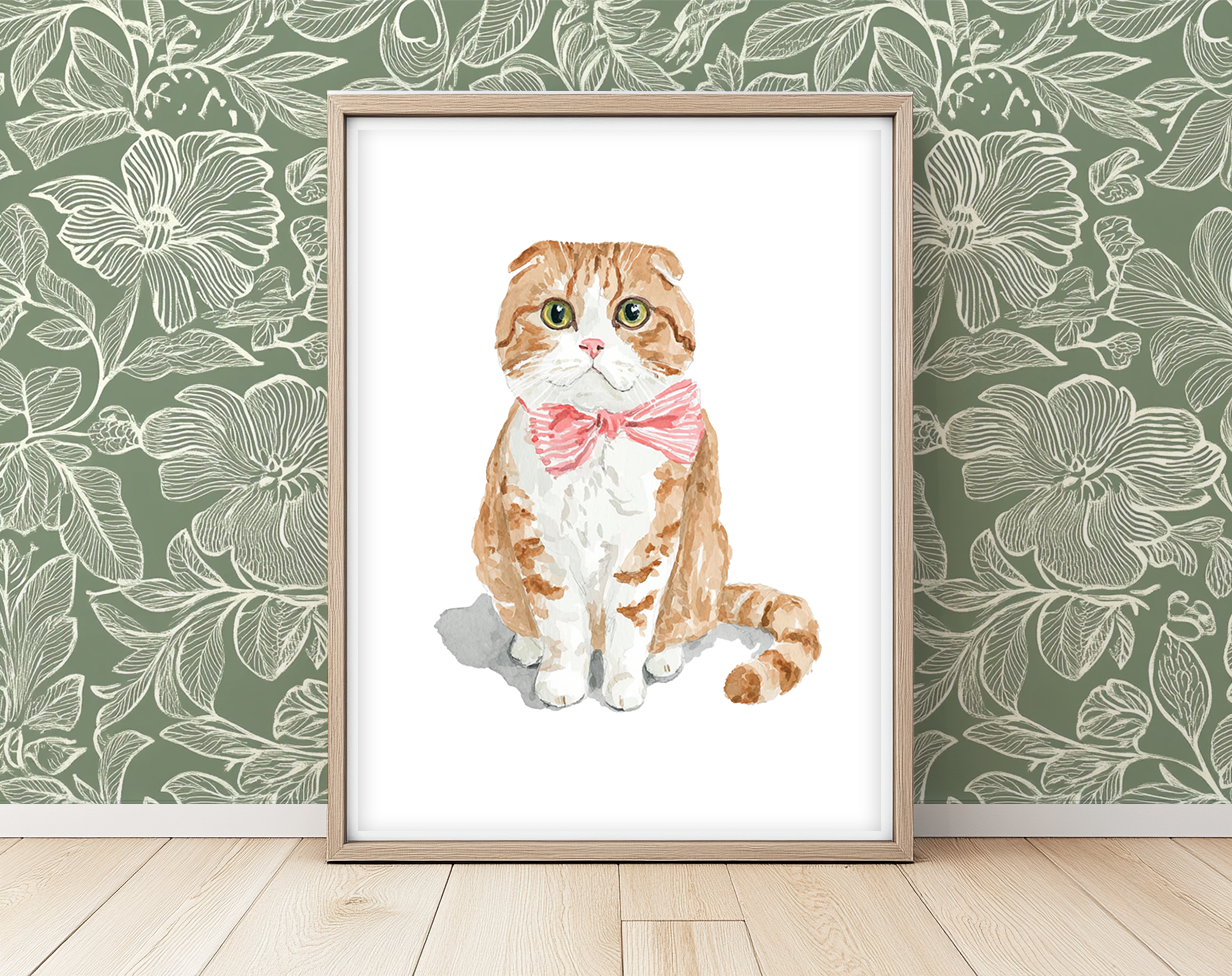 Soft Scottish Fold - Art Print