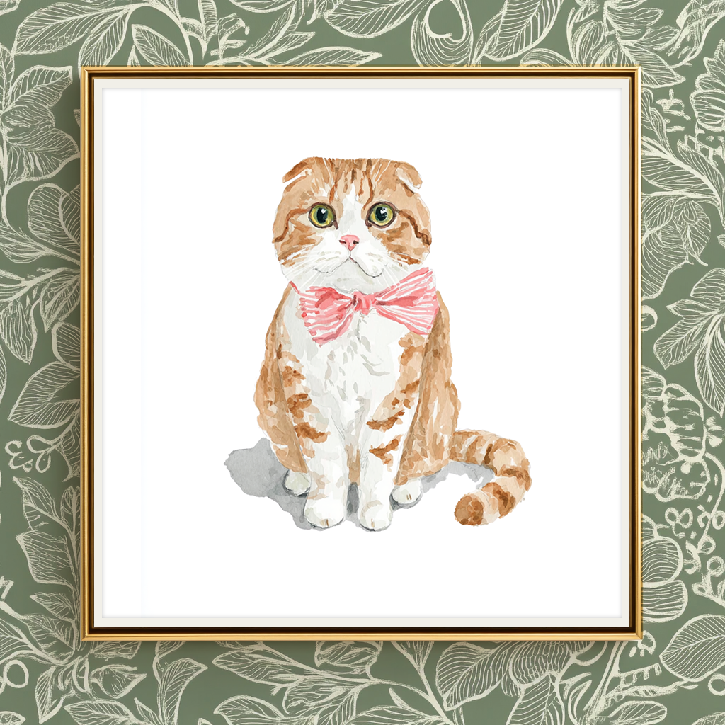 Soft Scottish Fold - Art Print