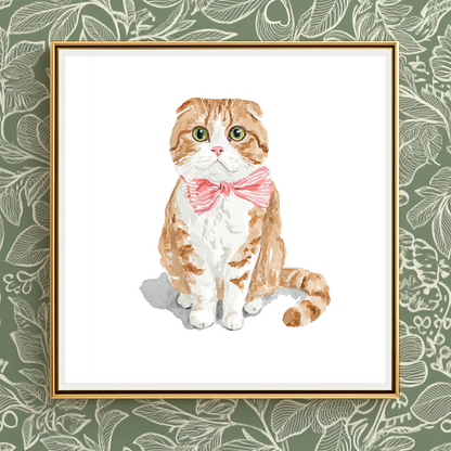 Soft Scottish Fold - Art Print