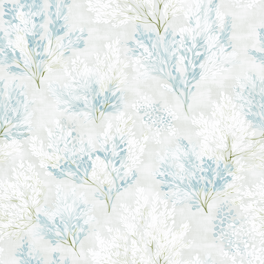 Winter Bloom Wallpaper