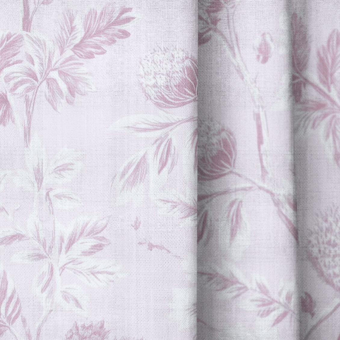 Blush on Blush - Drapery - Lemon Park
