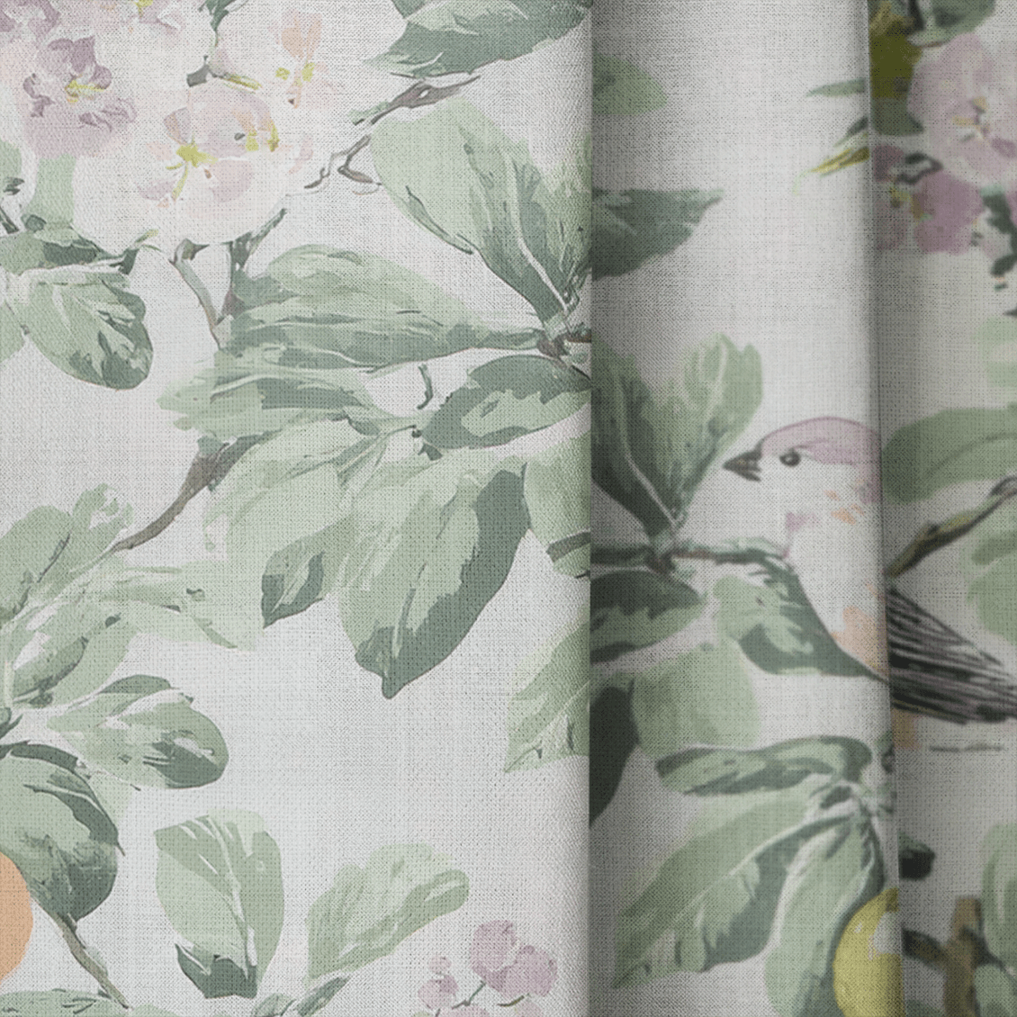 Gentle Songbird - Drapery - Lemon Park
