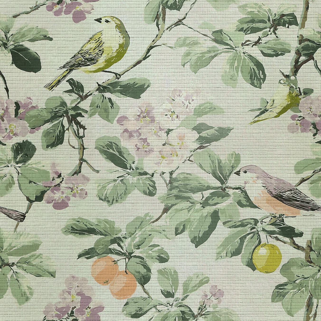 Gentle Songbird Faux Grasscloth Wallpaper
