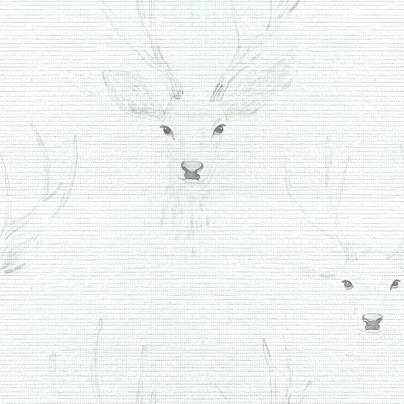 Giselle Faux Grasscloth Wallpaper - Lemon Park