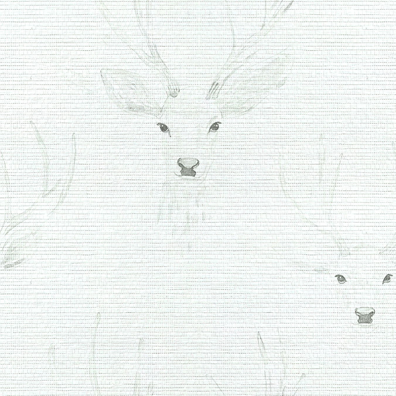 Giselle Faux Grasscloth Wallpaper