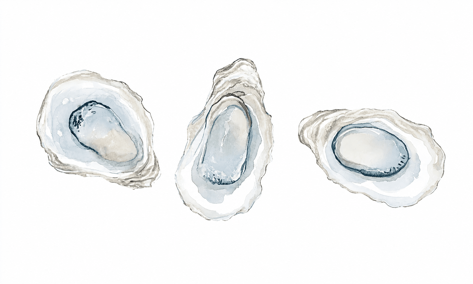 Pearl's Haven White Oyster Study - Tapestry - Lemon Park