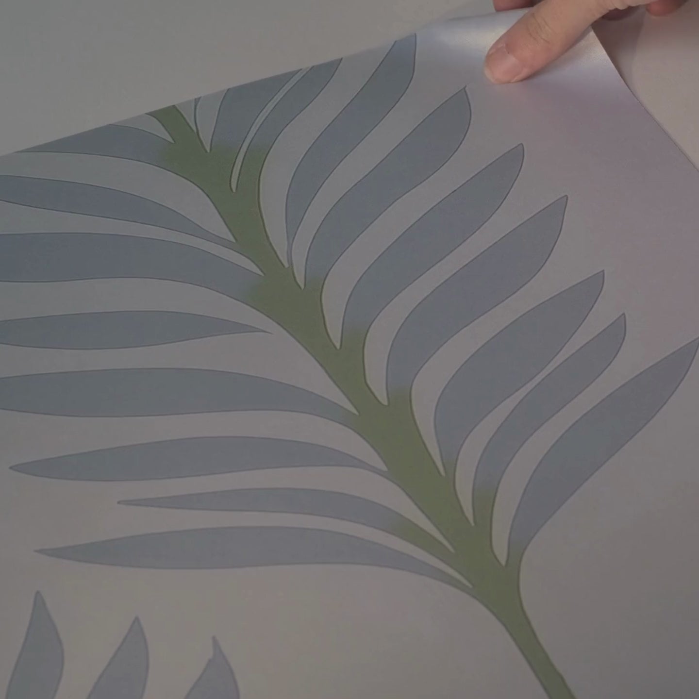 Load video: Palm Promenade Wallpaper