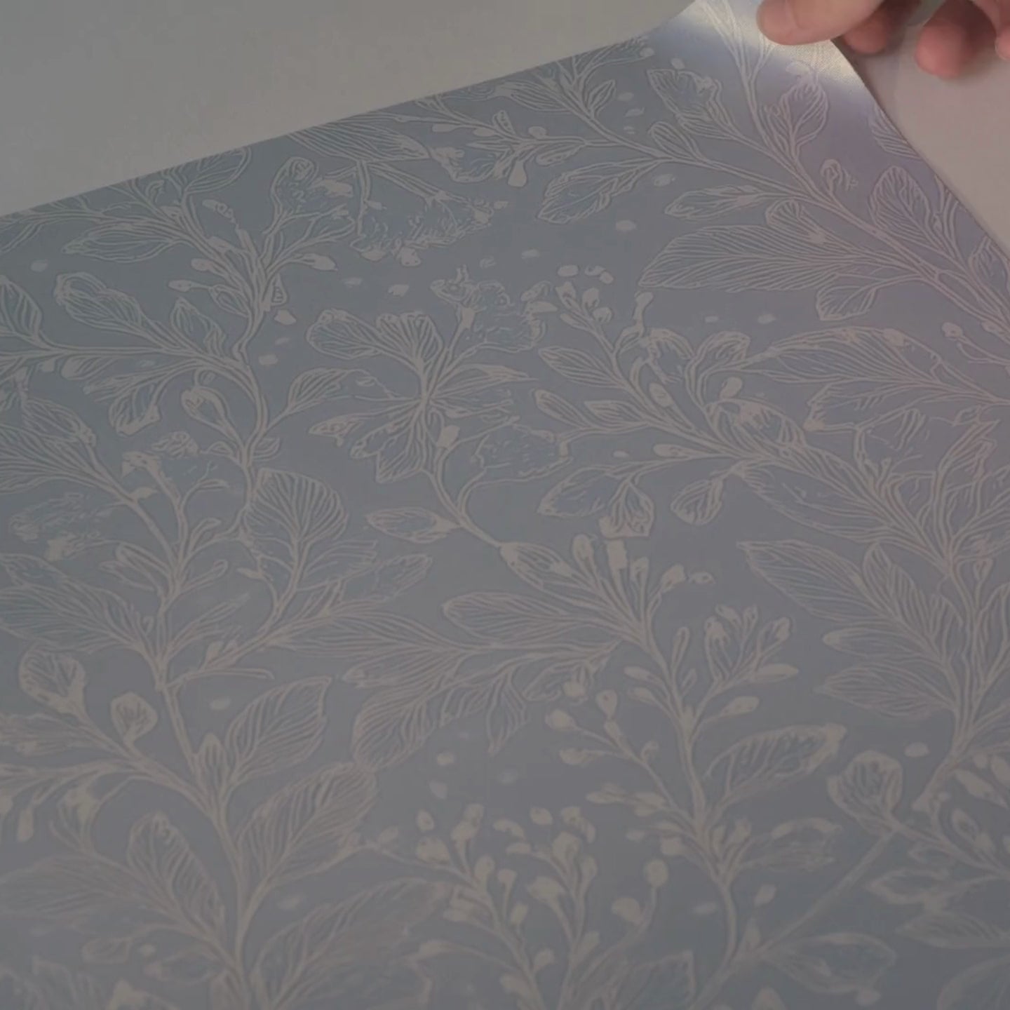 Load video: Frosted Sprig Wallpaper