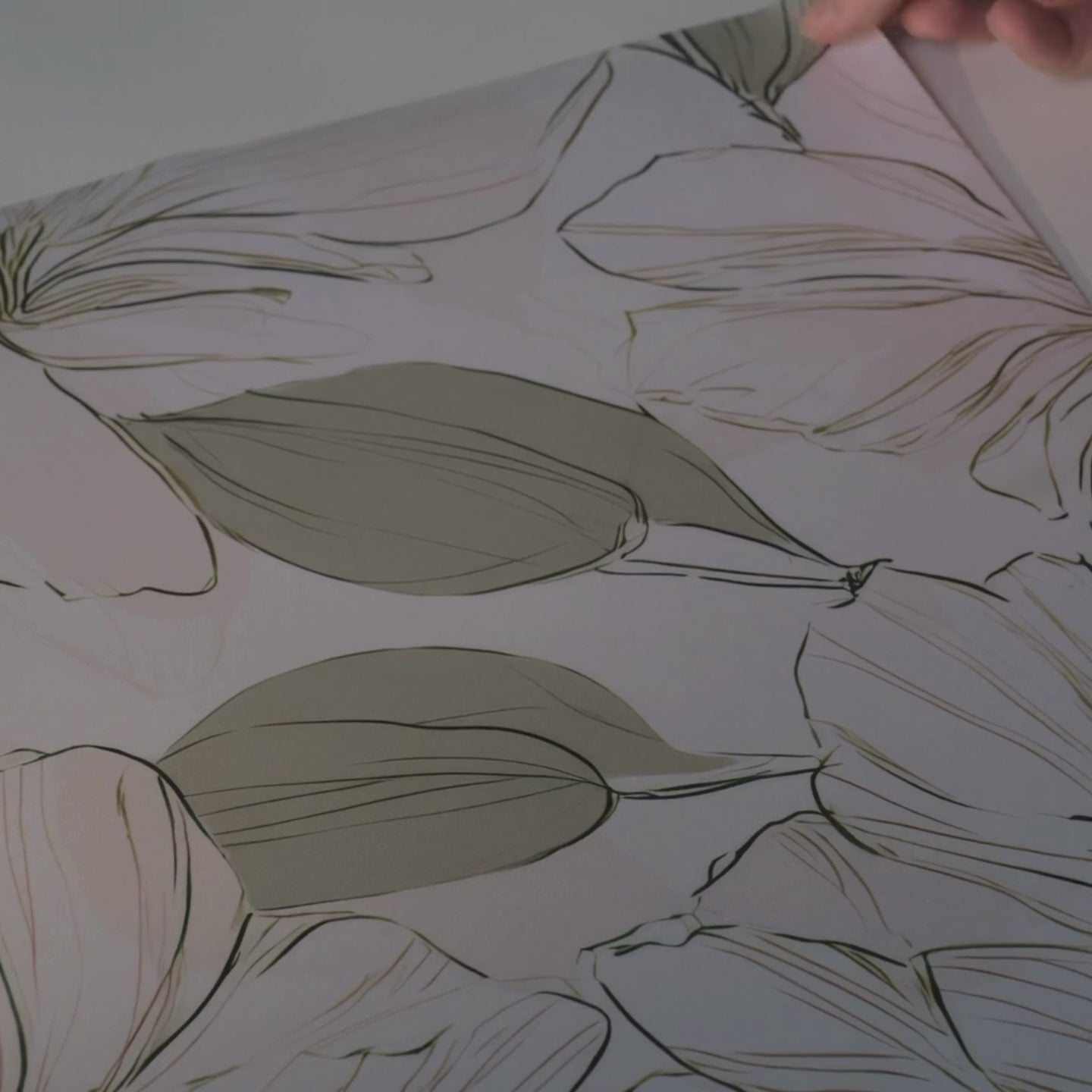 Load video: Tangled Wallpaper