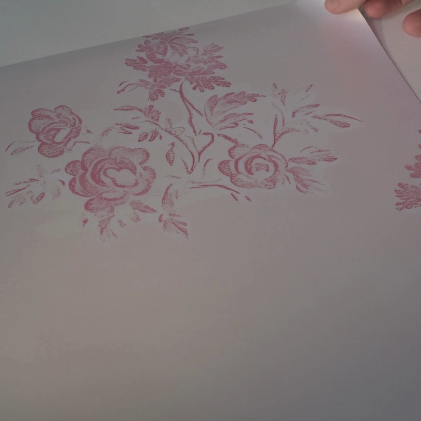 Load video: Charlotte Rose Wallpaper