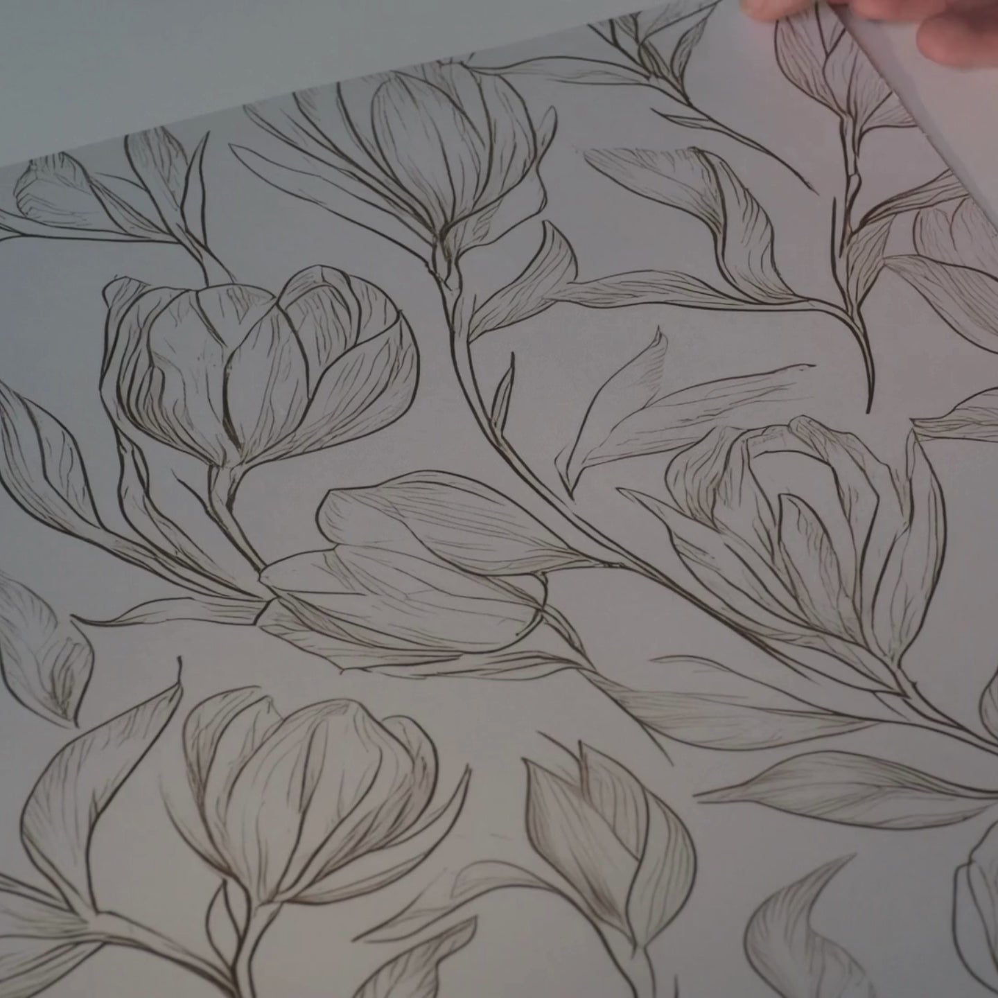 Load video: Magnolia Sketch Wallpaper